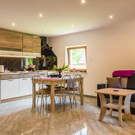 Pod Czarnym Groniem Holiday home Rzyki